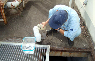 浄化槽　水質検査